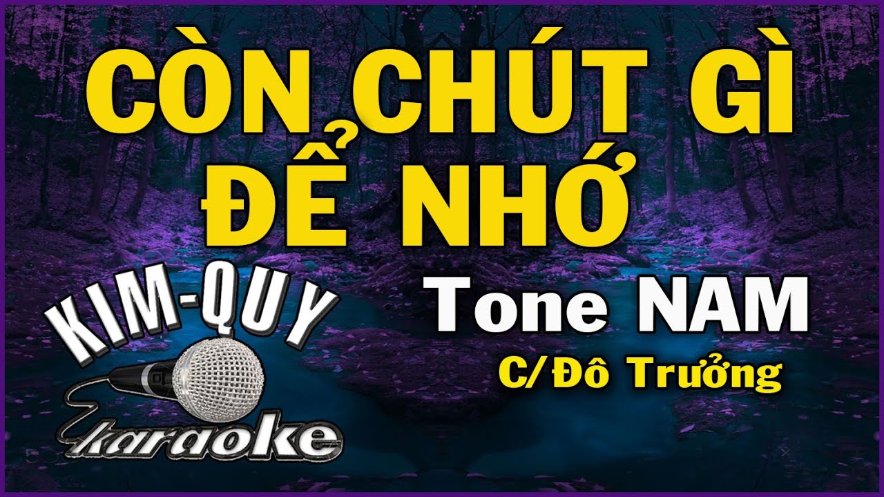 CÒN CHÚT GÌ ĐỂ NHỚ - KARAOKE - Tone NAM ( C/Đô trưởng )