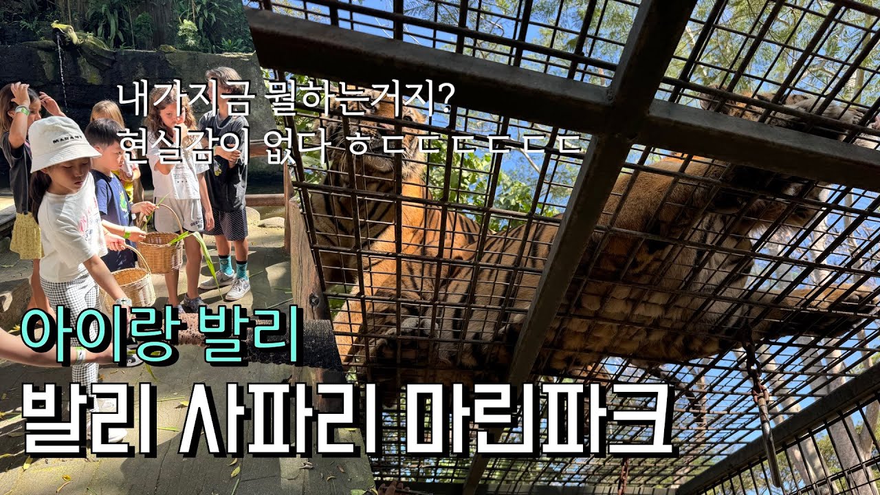 🇲🇨 발리에서 아이랑 뭐하지?_발리 사파리 마린파크(아이랑 반일 알차게즐기기)