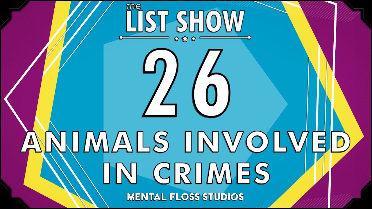 26 Quirky Animals Involved in Crimes | Mental Floss