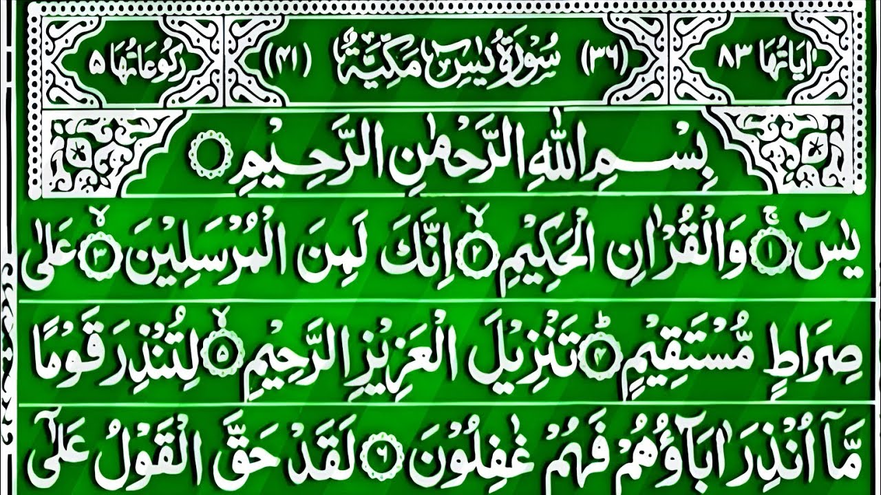 Surah Yaseen Surah Rahman | Beautiful Recitation Surah Yasin Surah Rahman Full | Quran Tilawat | 133