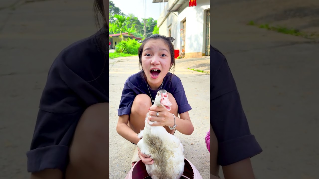 Watch this funny video genre that you should not miss 🤣😎😛 