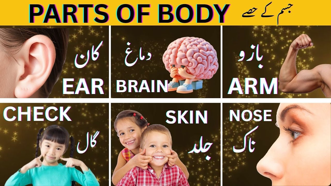 Parts of Body for Learning With Meaning 