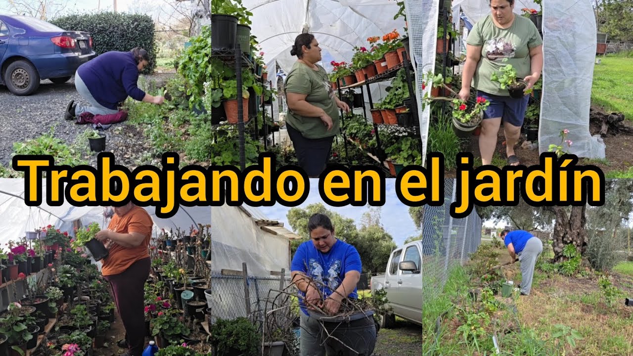 Trabajando en el jardín para que esta primavera sea hermoso