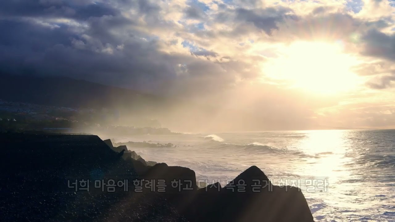 [M/V] 에케브(그리하면) (Vocal 송지수, 최인희) - 토라포션 프레이즈