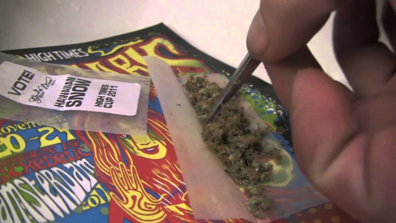 CannabisCureTV: Greenhouse Seeds Hawaiian Snow INHALEtheCURE420 - HIGH TIMES Cannabis Cup 2011
