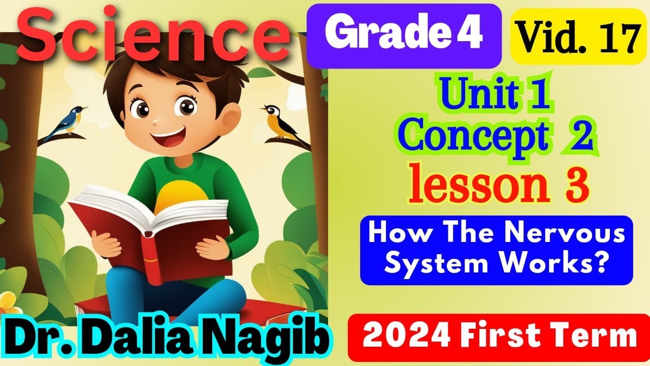 ساينس رابعه ابتدائي ترم اول  - Science  Grade 4 How The Nervous System Works Concept 2 Lesson 3
