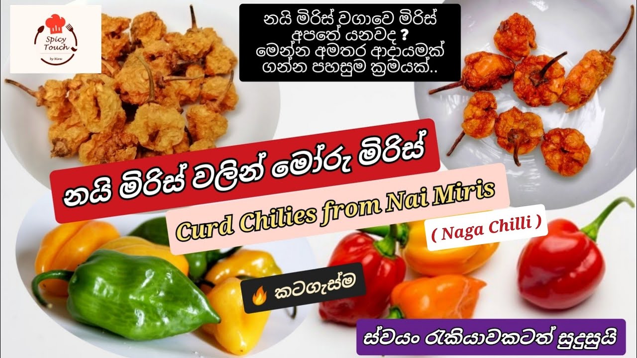 නයි මිරිස් වලින් මෝරු මිරිස් / Curd Chilies from Nai Miris / Naga Chilies