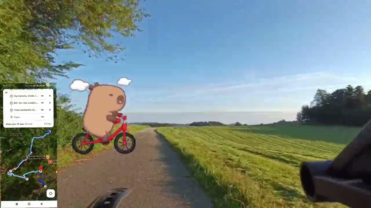 Велопрогулка по Германии 