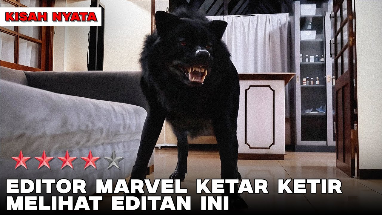 SEJAK KAPAN SERIGALA ADA DI INDONESIAA??‼️