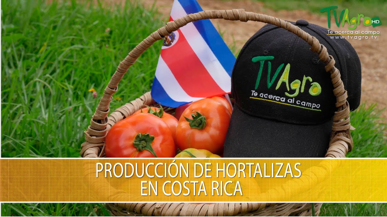 Produccion de Hortalizas en Costa Rica - TvAgro por Juan Gonzalo Angel Restrepo