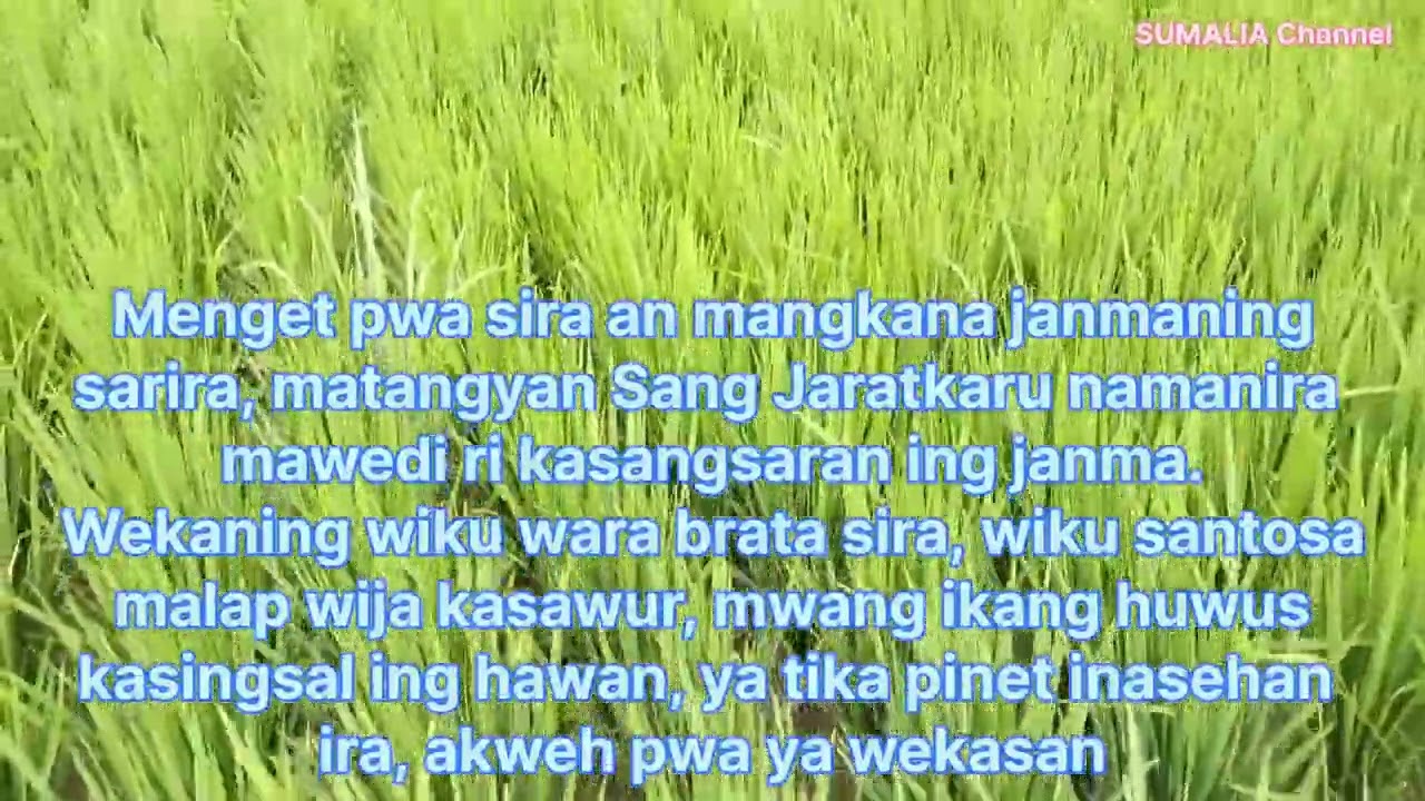 SANG JARATKARU || ADIPARWA || PALAWAKYA