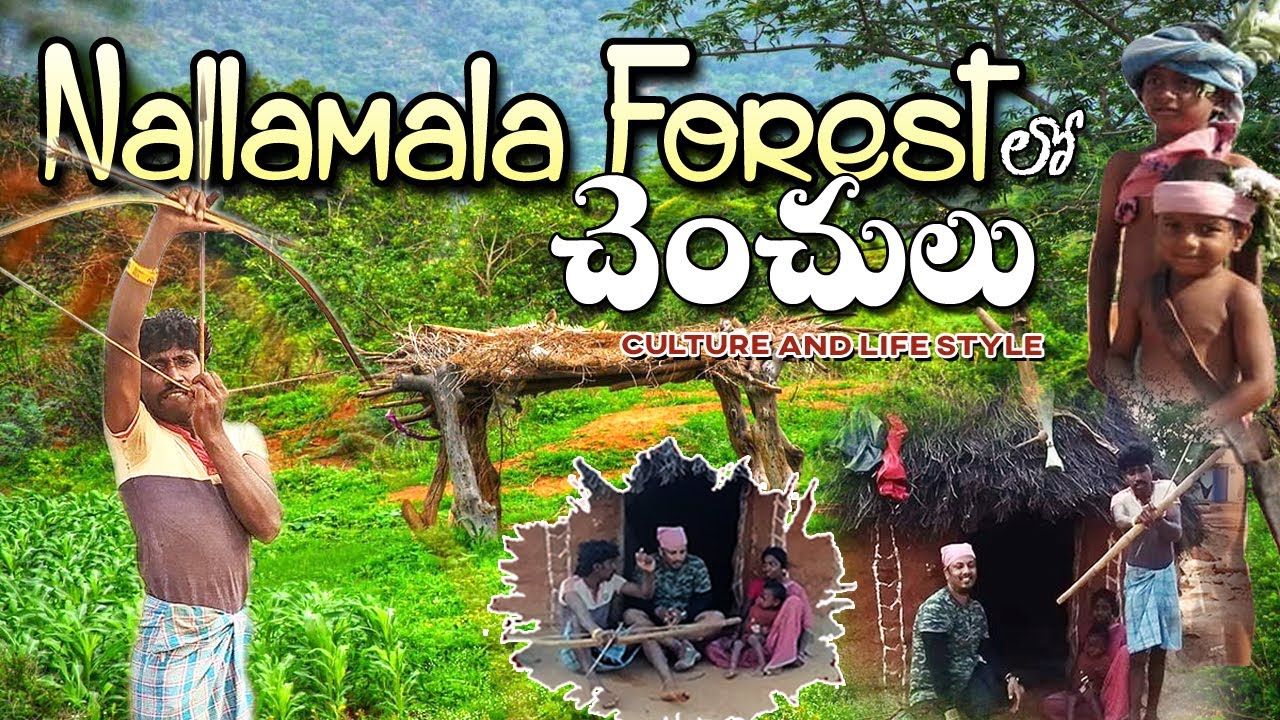 నల్లమల చెంచుల జీవనవిధానం || Nallamala Chenchulu Culture And Lifestyle || Chenchu Penta || Nalgonda
