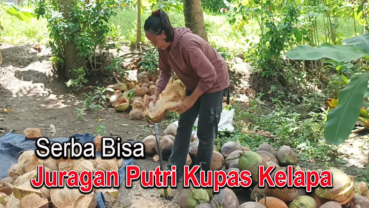 Bukan Kaleng-Kaleng ! Tukang Panjat Kelapa Ini Buktikan Keahlian Asli Orang Desa!