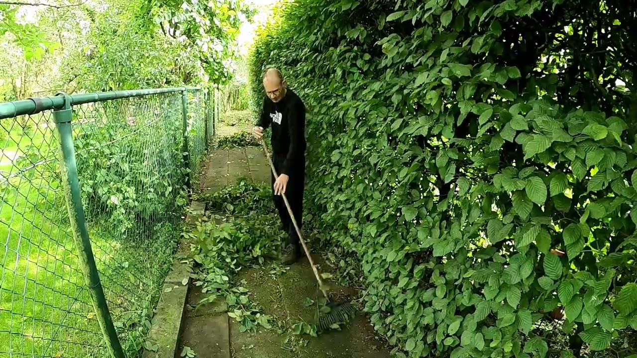 Overgroeide Tuin