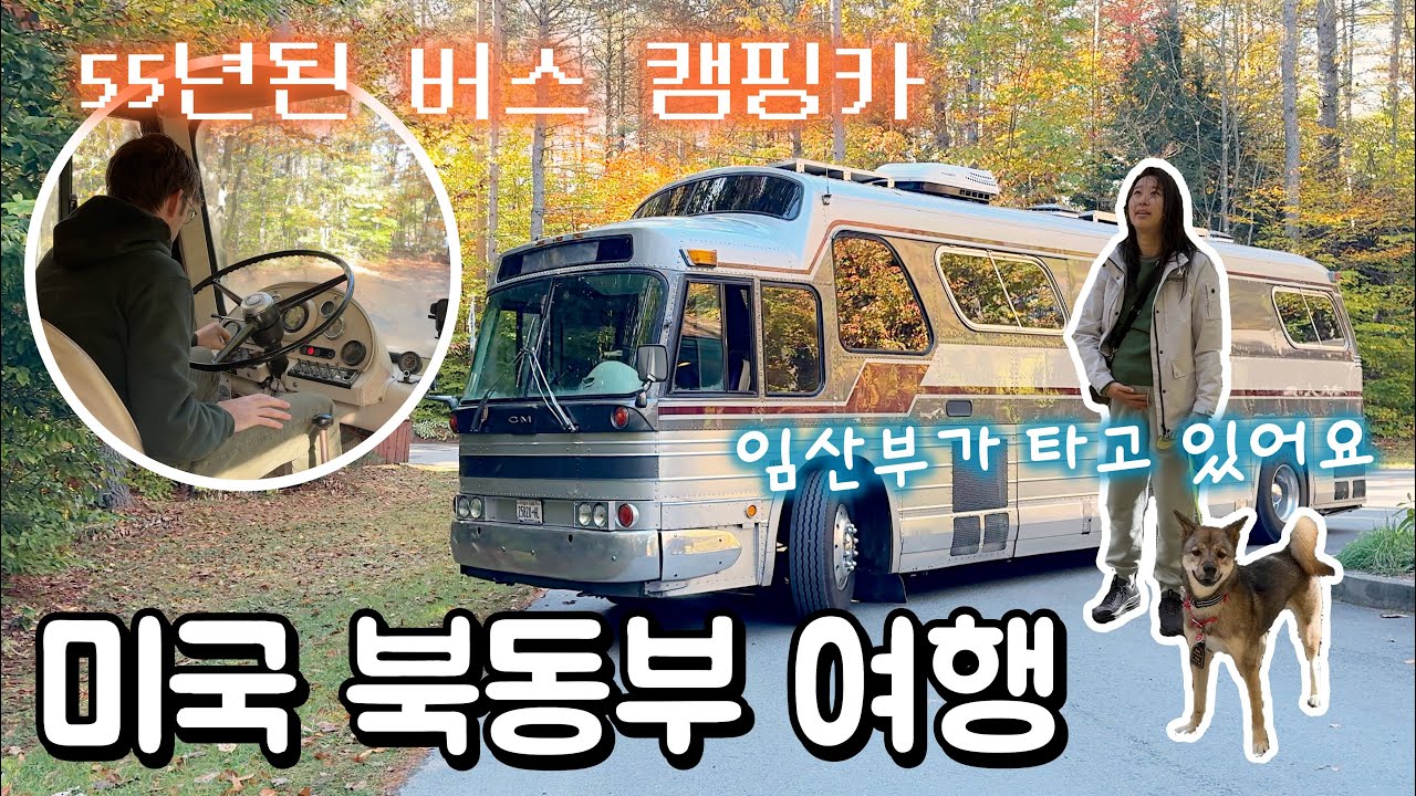 클래식 버스로 떠나보는 태교여행 🚌