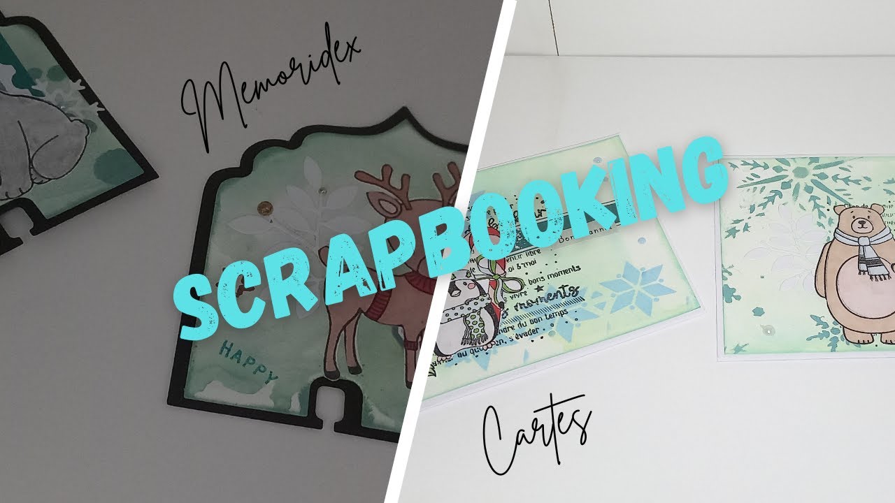 🎀[NOUVEAU] CONCEPTE PRESENTATION MEMORIDEX ET CARTES! 