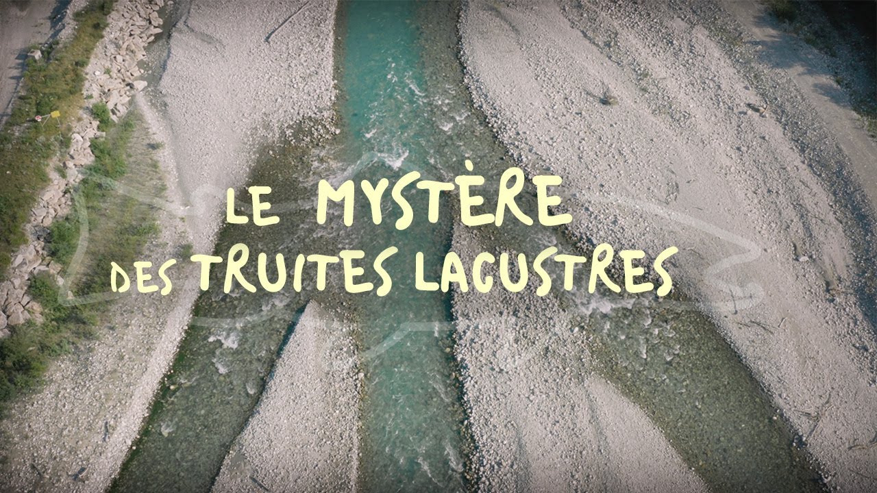 Le MYSTÈRE des TRUITES LACUSTRES - Bonus Our Waters