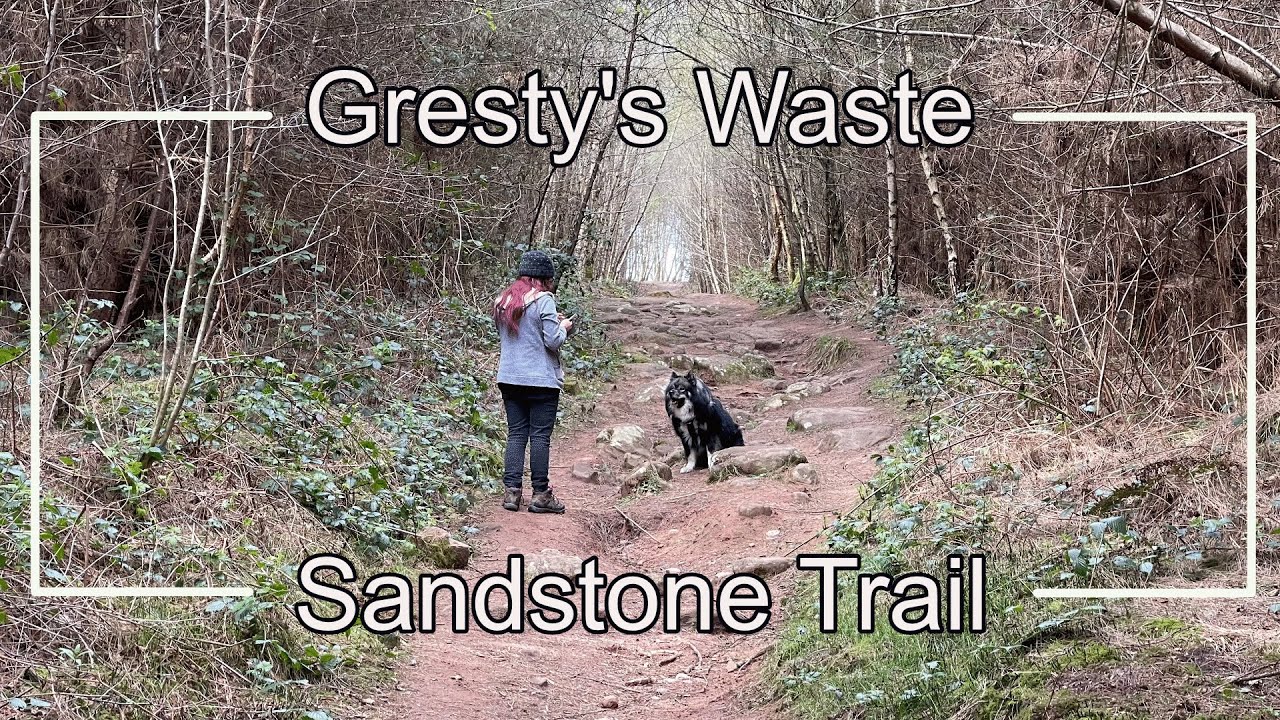 Gresty's Waste Sandstone Trail - Relaxing Dog Walking Trip