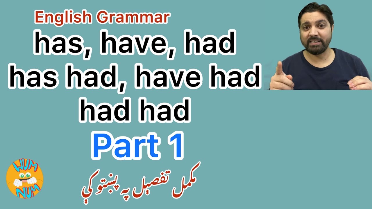 English Grammar, has, have and had. Part 1