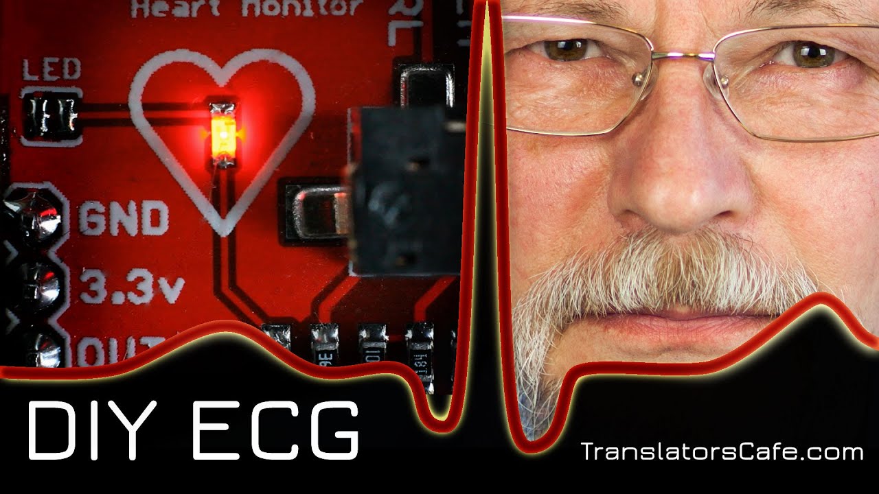 DIY ECG