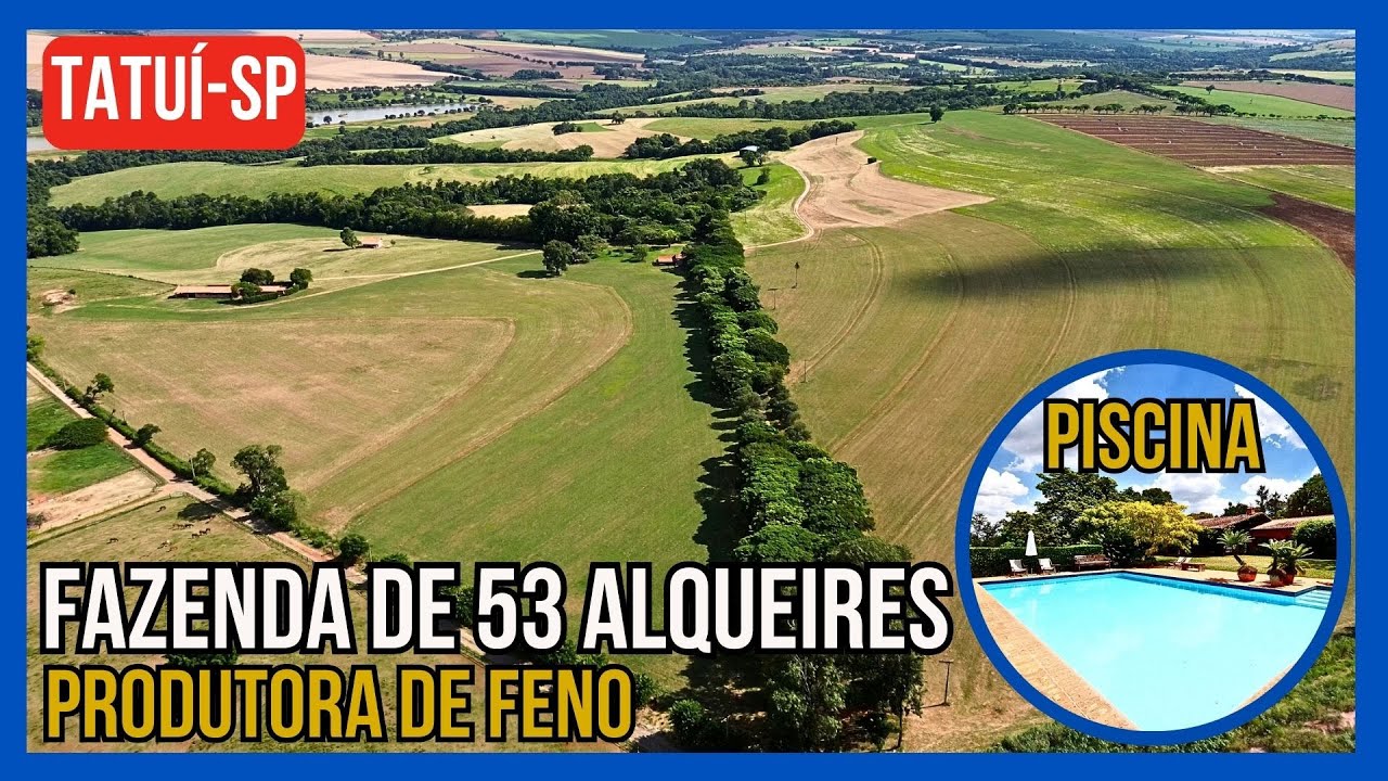 Fazenda produtora de feno com 53 alqueires à venda em Tatuí-SP.