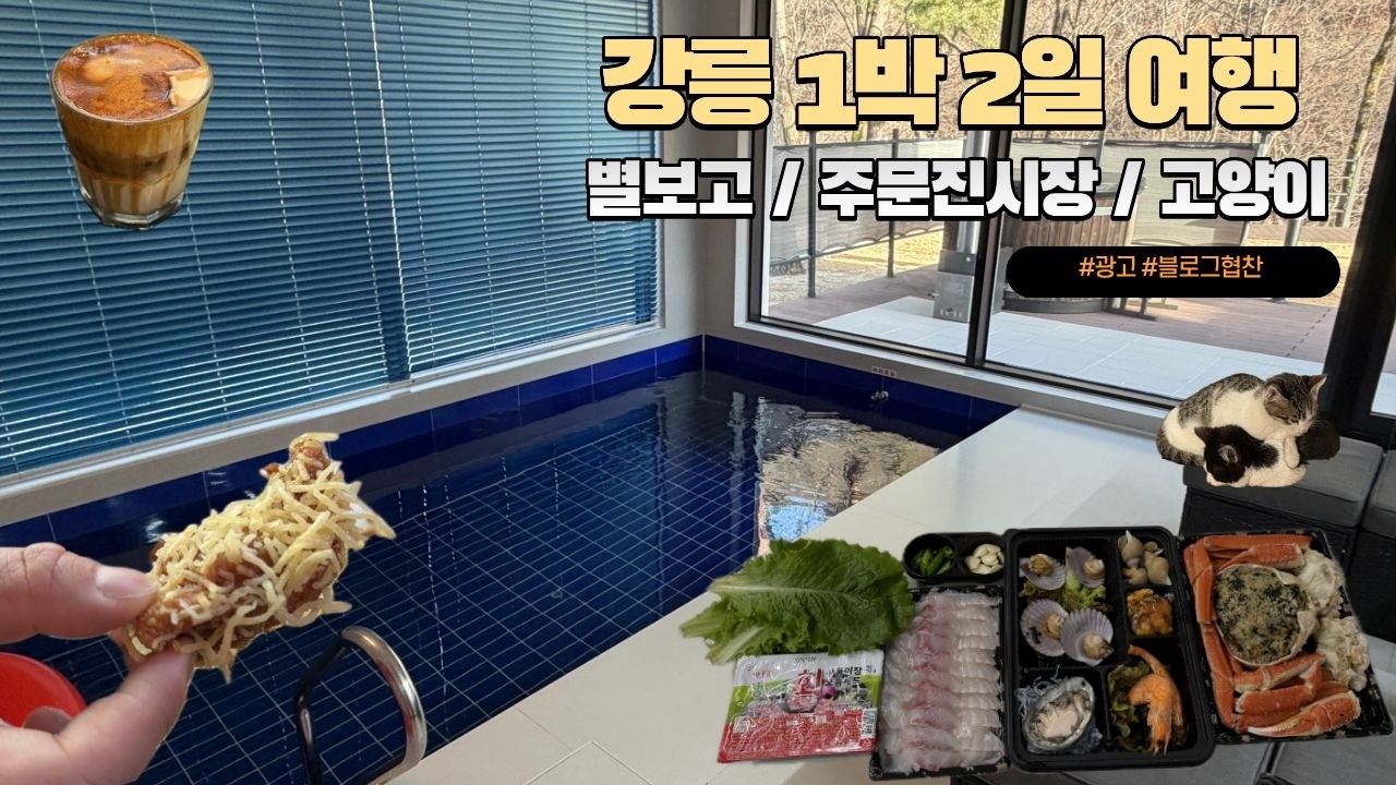 강릉 주문진시장 별보이는 풀빌라 고양이와 말차라떼 맛집 감자닭강정 등등 1박여행