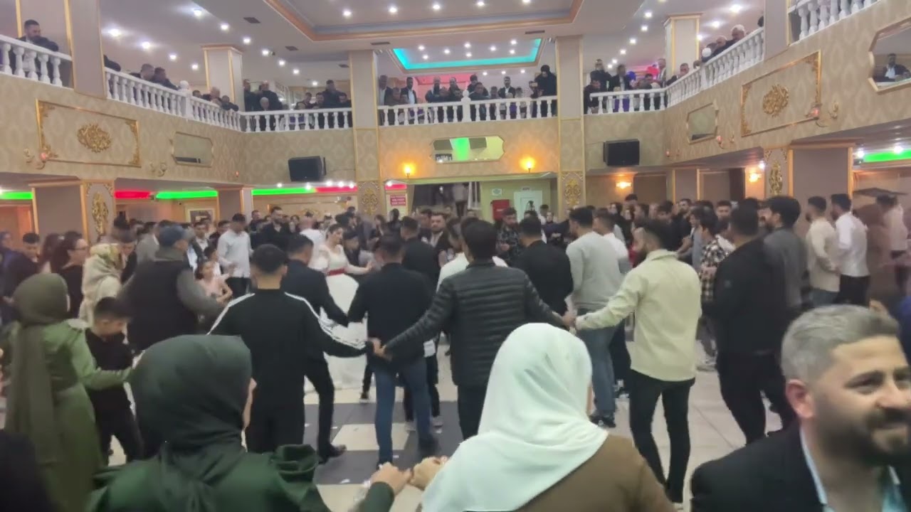 Şiyar Ararat Siirt halay new
