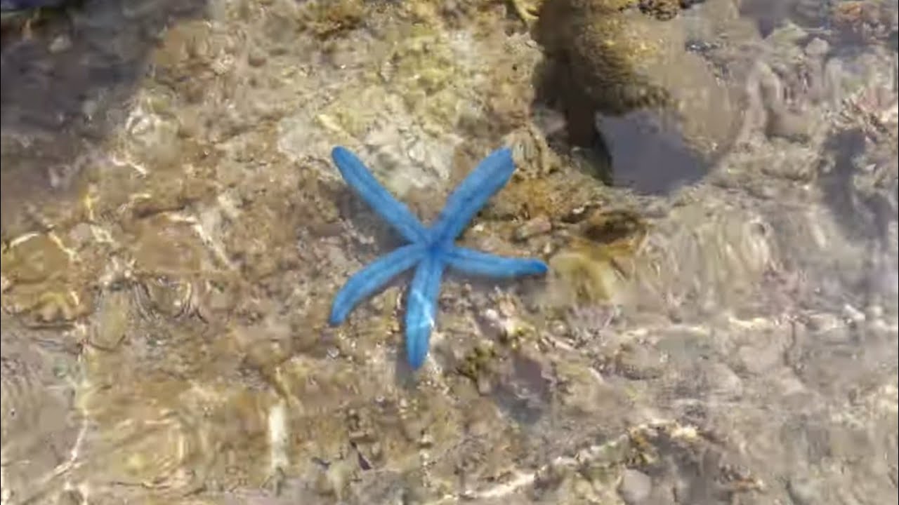 Beach Tour - Tango Island, Bongao, Tawi-Tawi (Beautiful Beach in Mindanao)