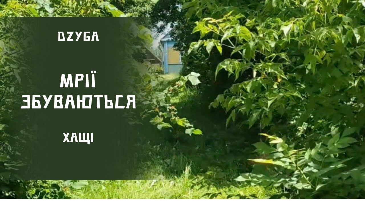 Купили будинок в селі. Огляд ділянки.