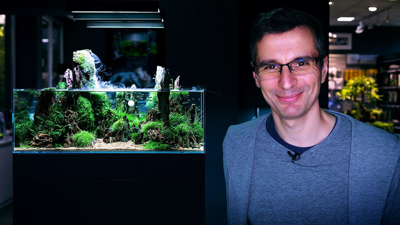 How To Choose FISH For Your PLANTED TANK