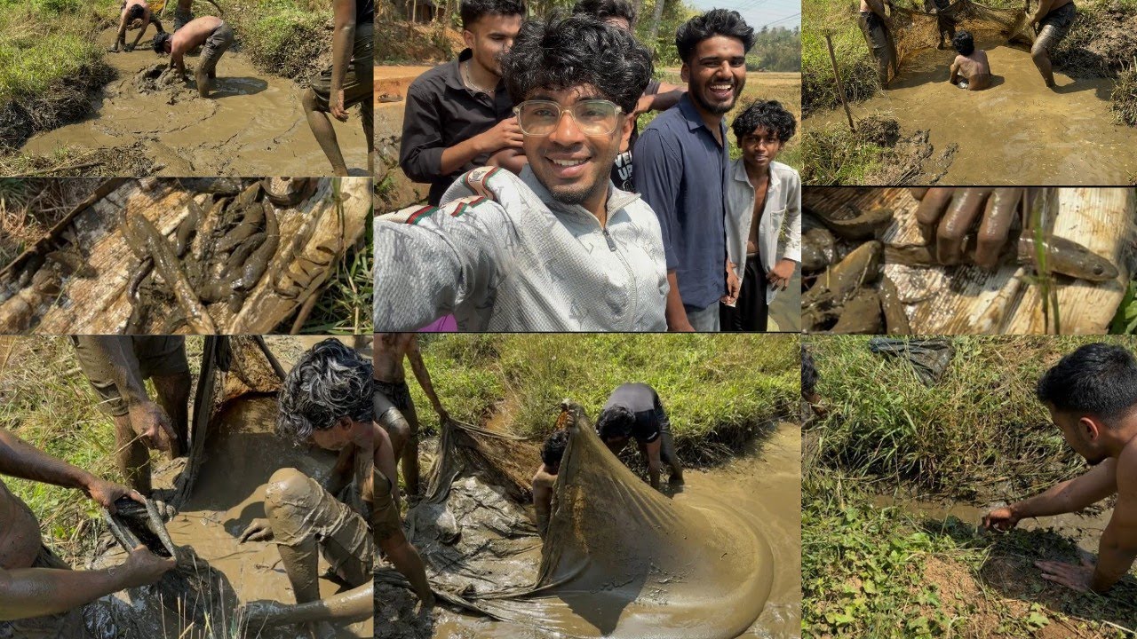 വയലിലെ ചെളിയിൽ നിന്ന് കിട്ടിയ നാടൻ മീനുകൾ🐟✨