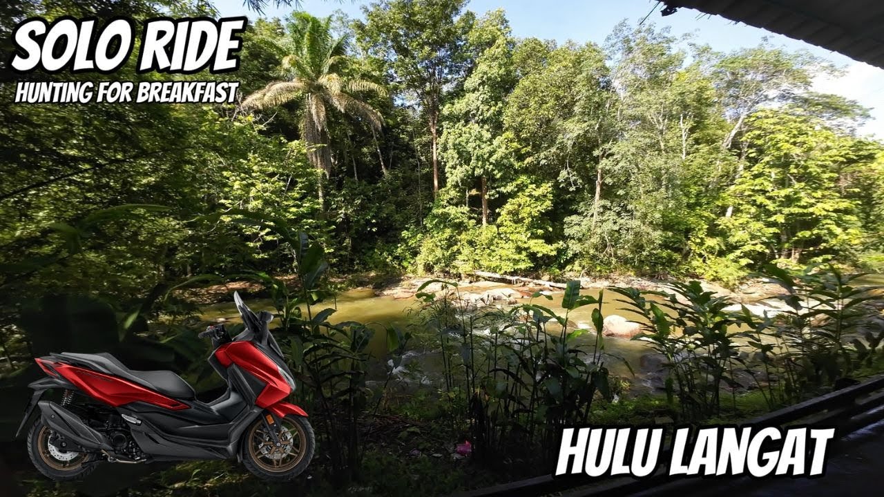 BREAKFAST HUNTING | Solo Ride | Honda  Forza NSS 2025 | DJI Action 3