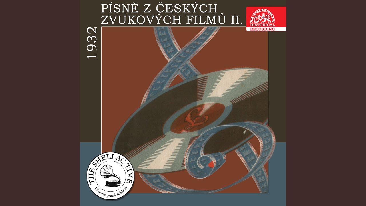 Poslušně hlásím (Dobrý voják Švejk)