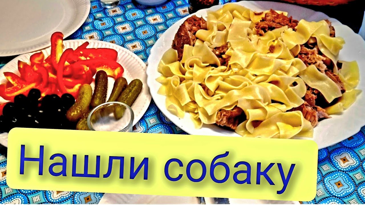 КАК МЫ ЕЗДИЛИ В ОТПУСК В ДОМЕ НА КОЛЕСАХ И НАШЛИ СОБАКУ / ЗАКУПКИ В ХОРВАТИИ / ВОСПОМИНАНИЕ /