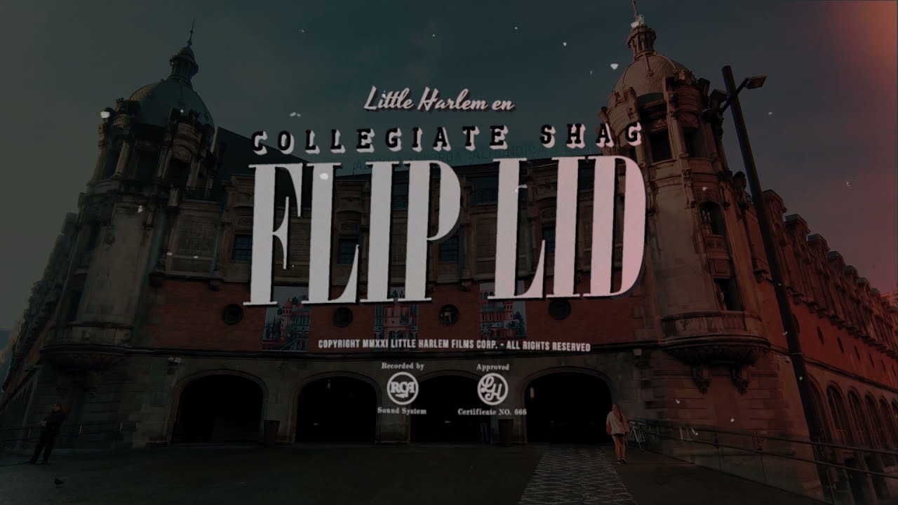 Little Harlem en Collegiate Shag Flip Lid