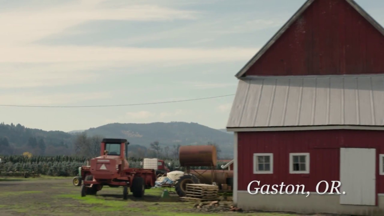 Gaston Or