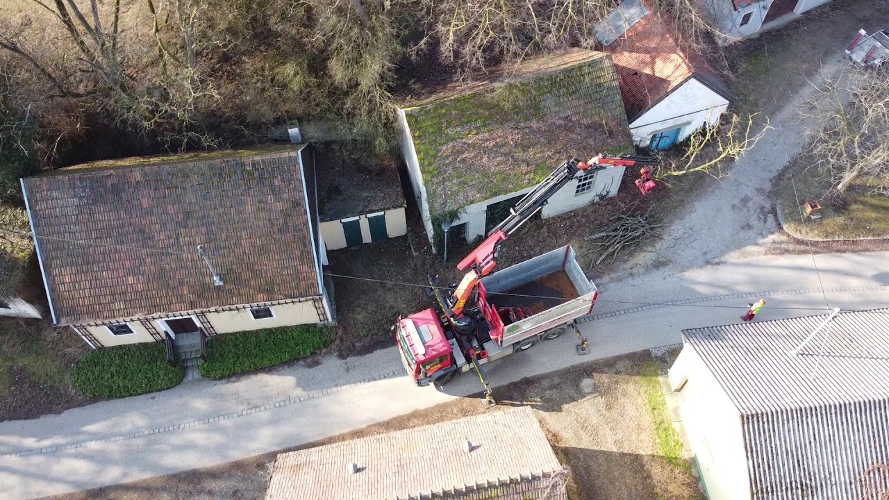 Baumabtragung/Baumfällung mittels LKW Kran