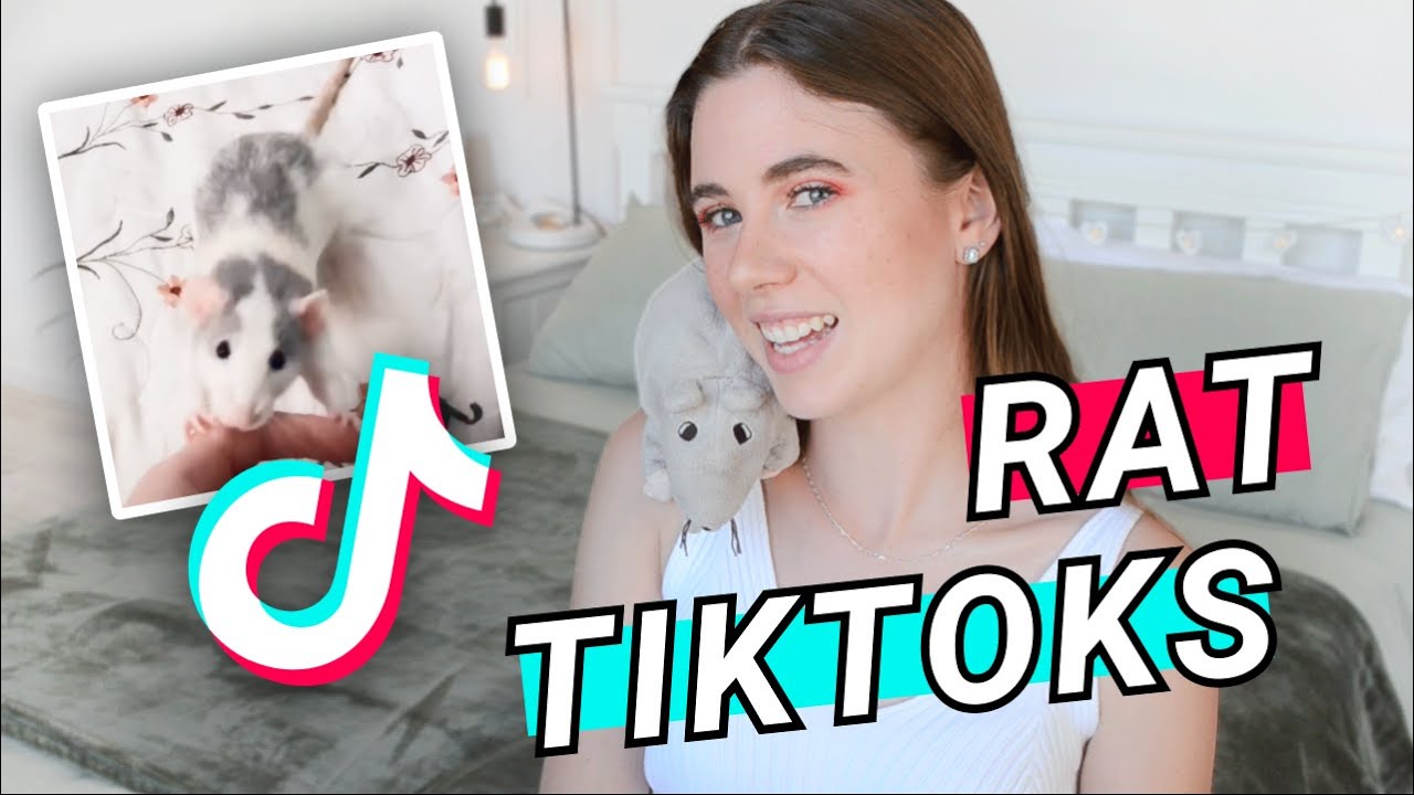 REACTING TO RAT TIKTOKS