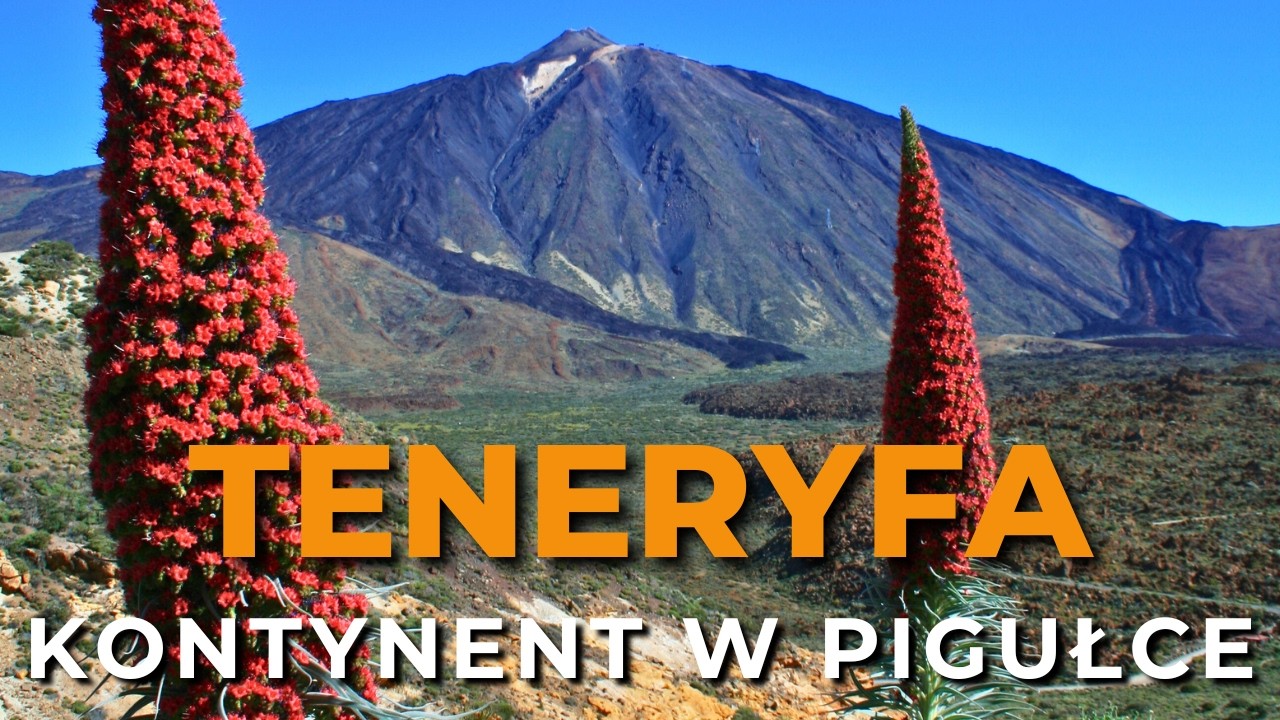 Teneryfa - kontynent w pigułce - najważniejsze atrakcje wyspy