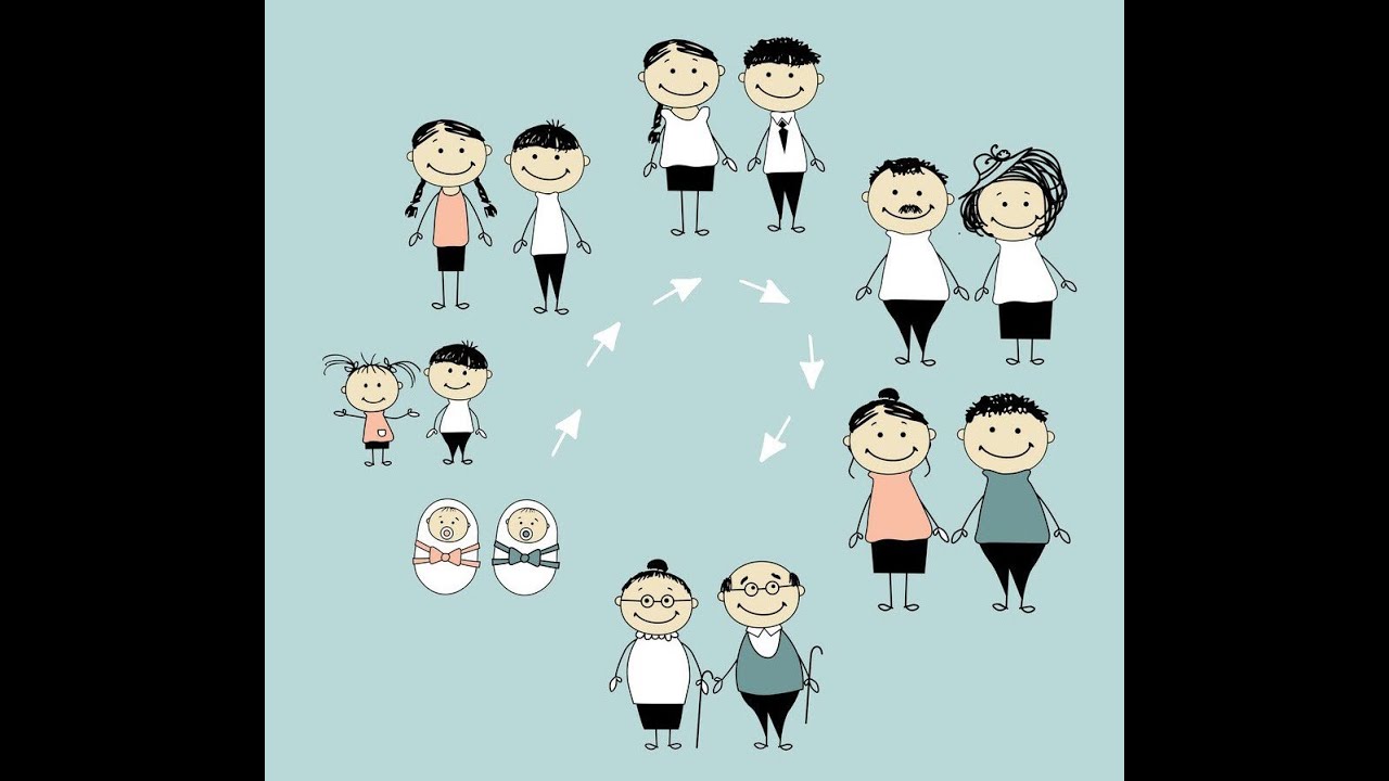 ملخص درس مظاهر النمو لدى الكائنات الحية