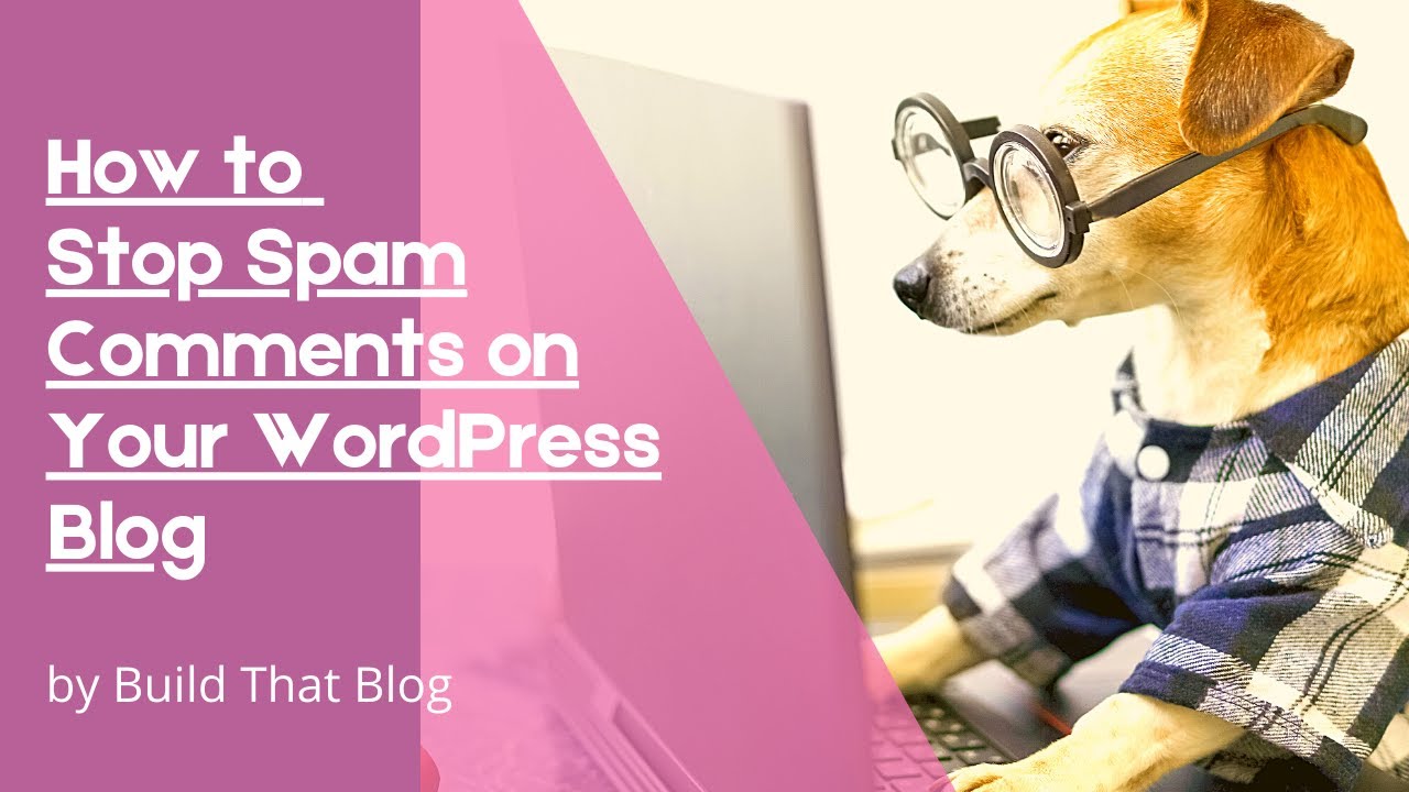 How to Stop Spam Comments on Your WordPress Blog