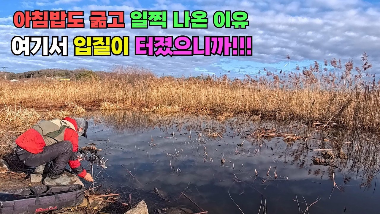 아침밥도 굶고 일찍나온 이유?? 여기서 입질 터졌으니까!! 늦으면 자리 없습니다 산란기 붕어낚시