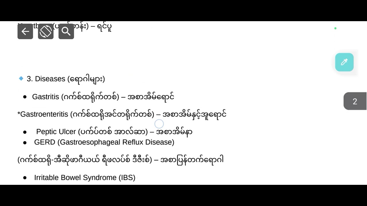 Gastrointestinal Parts(အစာအိမ်နှင့်အူလမ်းကြောင်းဆိုင်ရာ အစိတ်အပိုင်းများ)