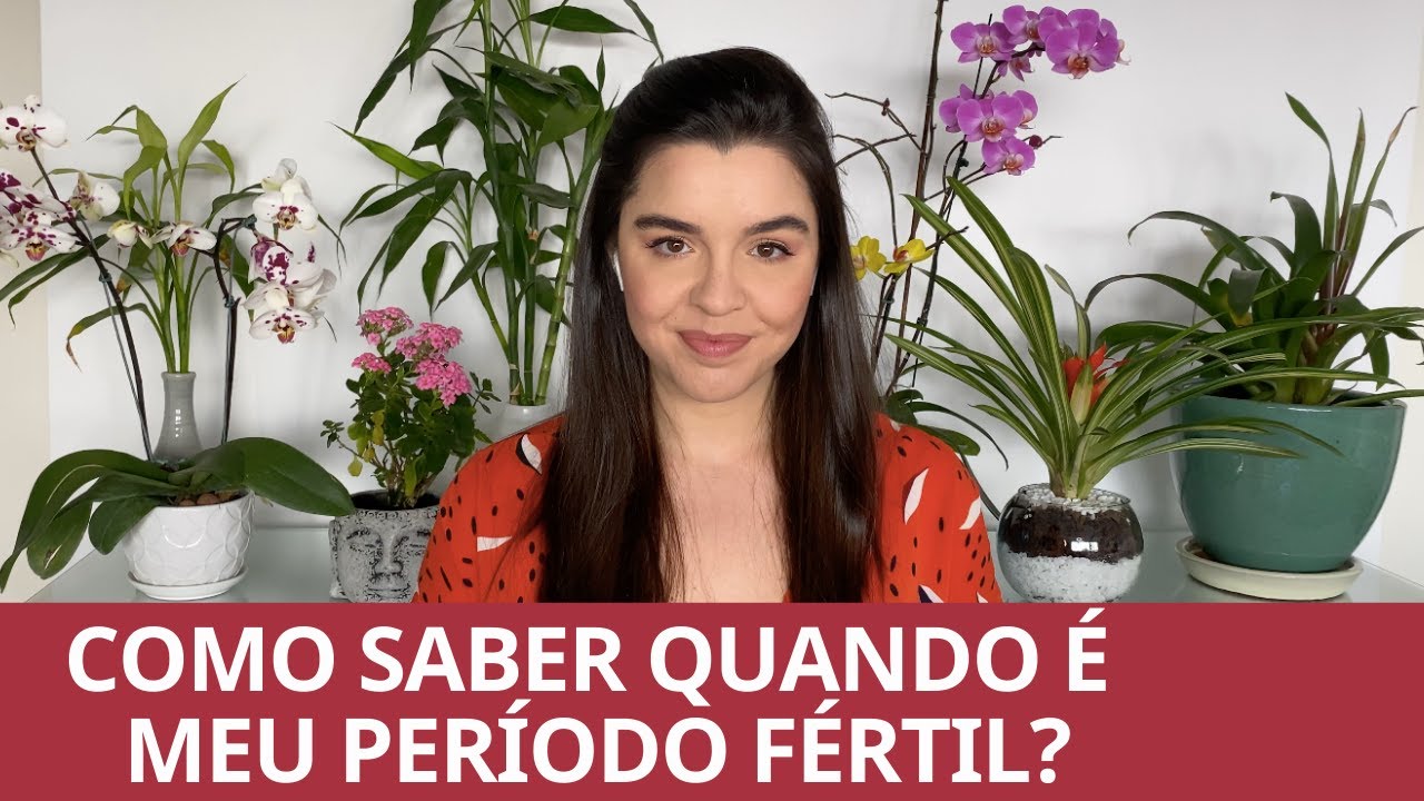 Como saber quando é meu período fértil? Como prevenir gravidez? Quando transar para engravidar?