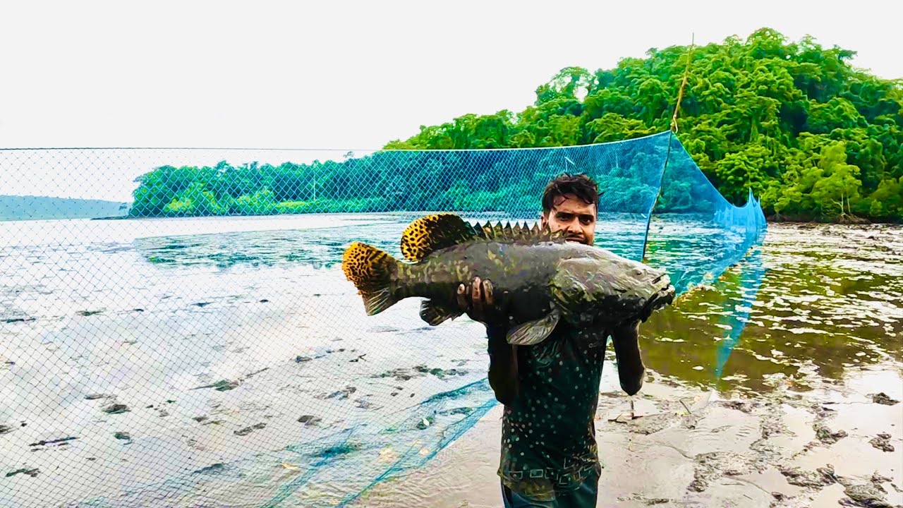 দানবাকৃতির গোবরা মাছ সাথে আরও ১০০kg মাছ ধরলাম@ANDAMAN_HUNTERS 100kg fish with monster grouper fish