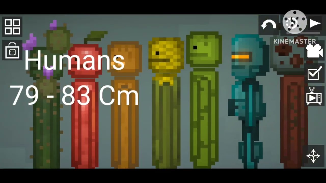 Melon Playground Size Comparison