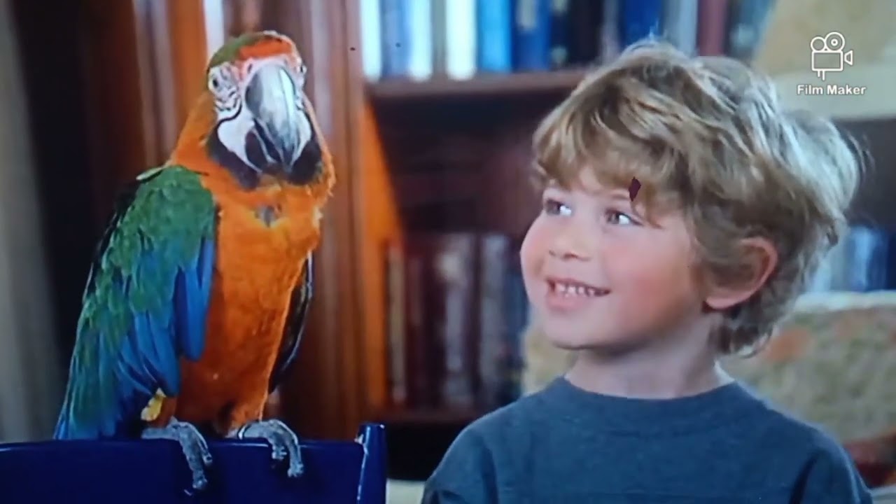 Daddy Day Care 2003 Show and tell/Pet Day scene movieclip