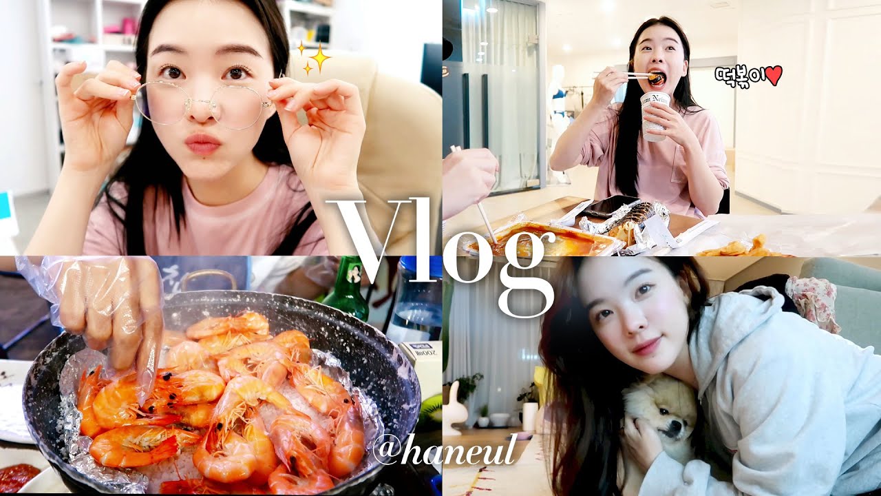 ENG 바쁜 회사원 vlog 야근 하고 남자친구랑 대하에 소쥬한잔😆 삼겹김치볶음밥, 떡볶이,촬영디랙터