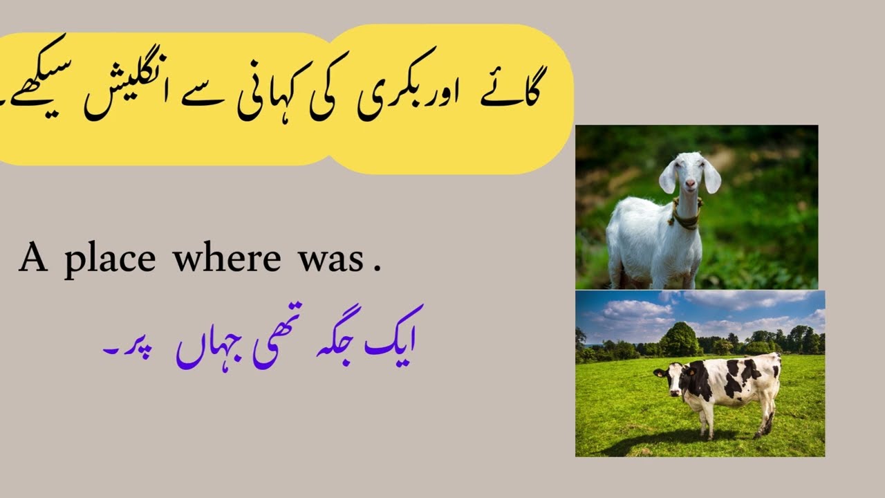 Story|| A goat 🐐  and A Cow 🐮 || English Story With Urdu Translation learn english |vocabulary