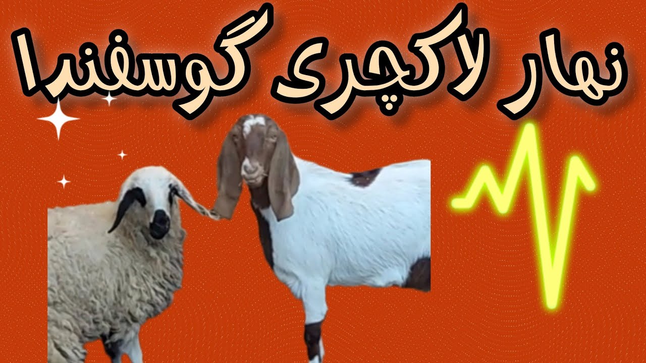 ۶ ژانویهٔ ۲۰۲۶